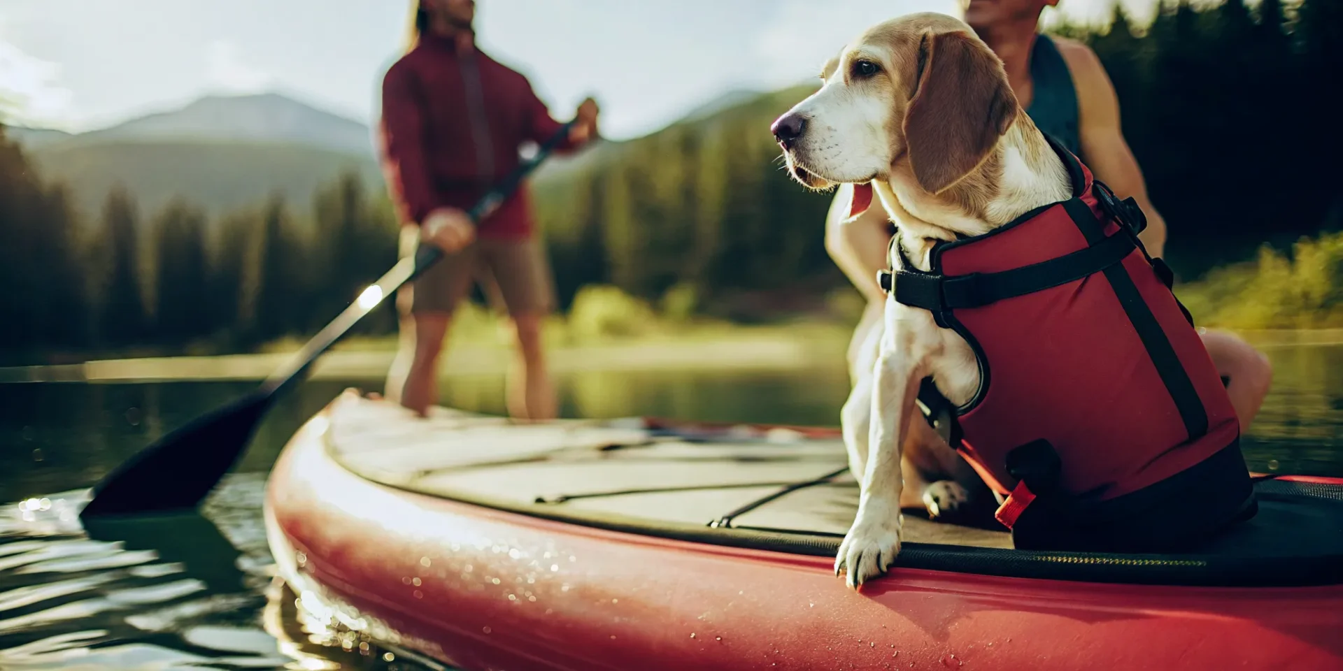 Dog in a canine life jacket riding on a paddleboard at Lake Dillon